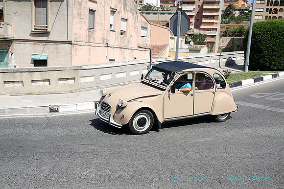 VIConcBocairent297