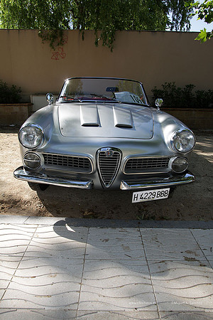 VIIConcentracionUtiel035