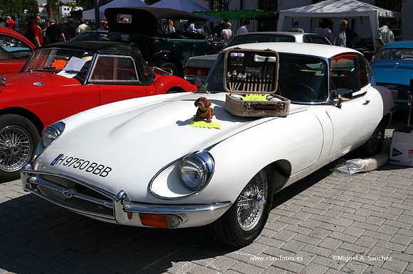VIAutoRetroMurcia070