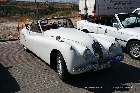 FVCP2009282
