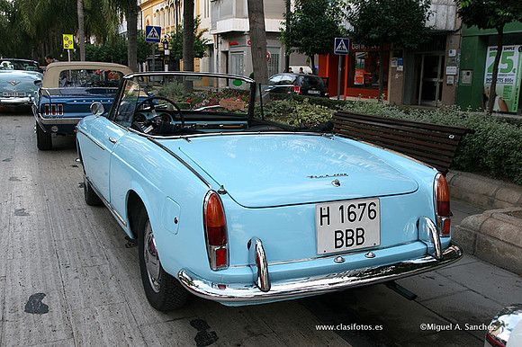 Torrent2009079