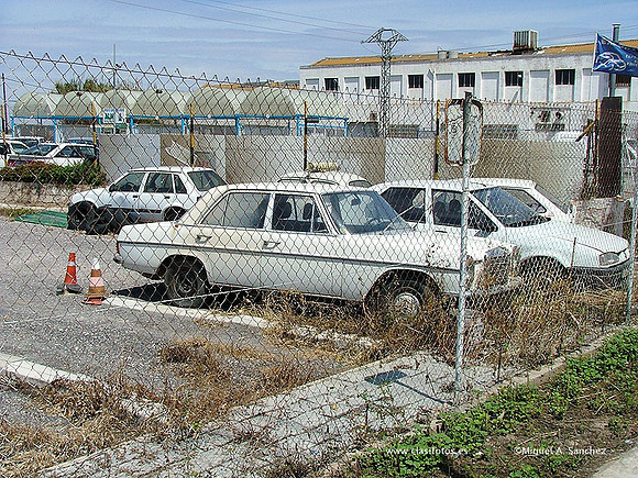 DSCF1778