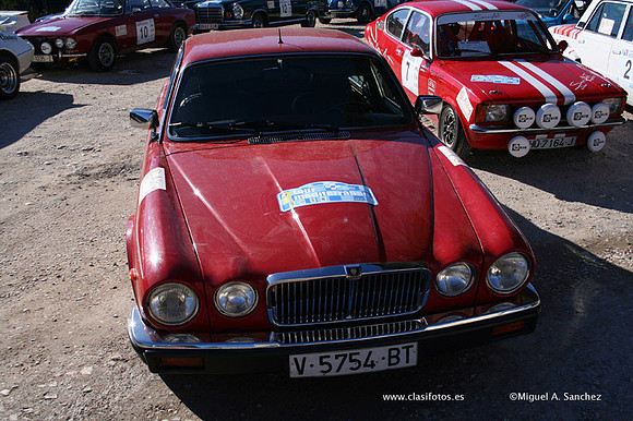 IMG_3238
