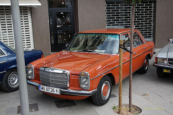 XConcentracionTorrente020