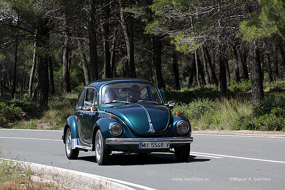 VIIConcentracionUtiel256