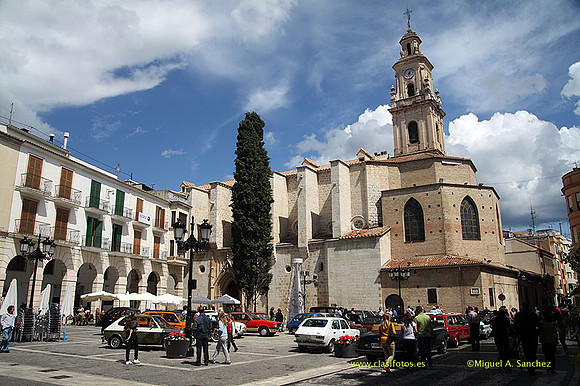 VIIConcGandia135
