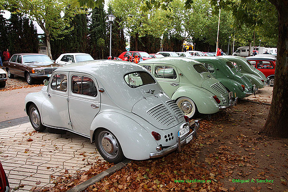 VIIIConcentracionUtiel084