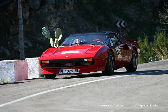 XRallyeEnero212