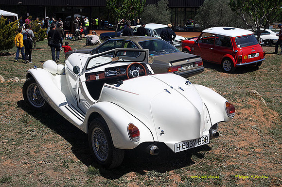 IIEncuentroamigosmotor221