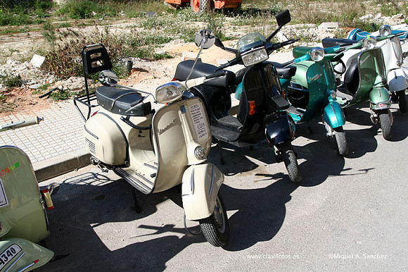 Rotova045