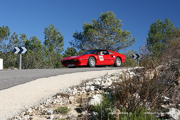 XRallyeEnero432