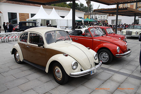 AgroGuadassuar0089