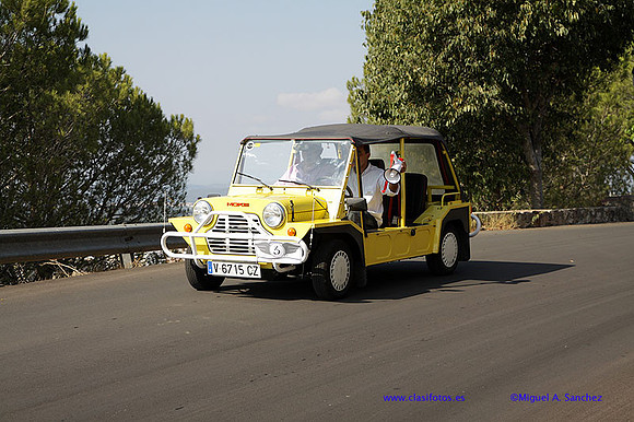 IVConcAlzira207