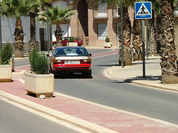 DSCF6505