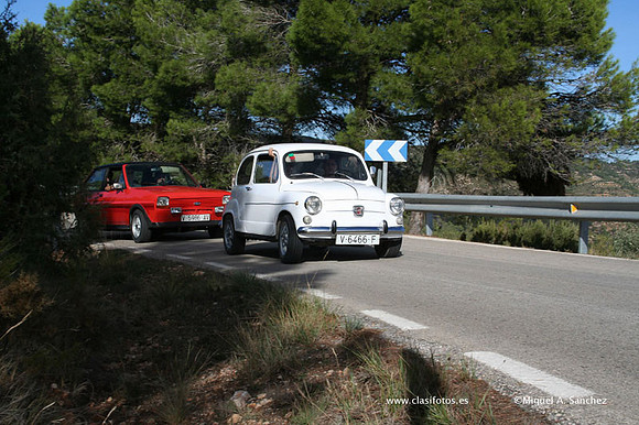 RallyTuris261