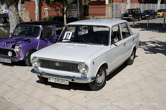 VIIConcentracionUtiel165