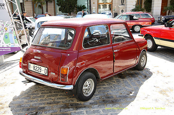 VIIConcGandia066