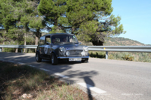 RallyTuris317