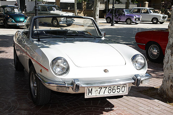VIIConcentracionUtiel167