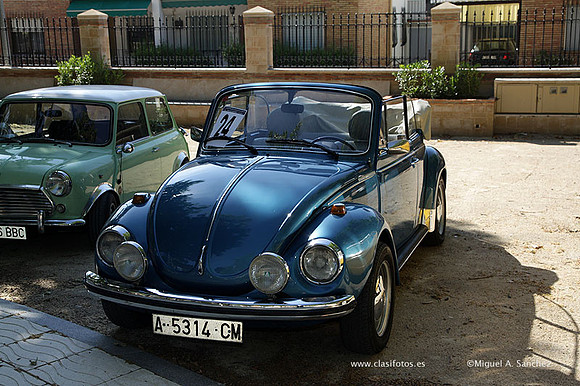 VIIConcentracionUtiel108