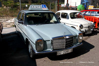 Rotova2009012