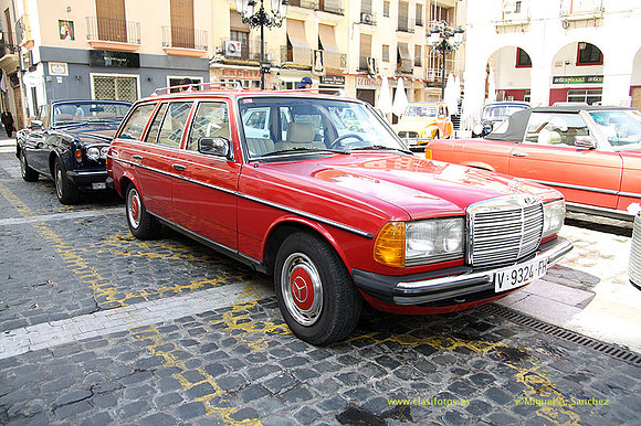 VIIConcGandia017