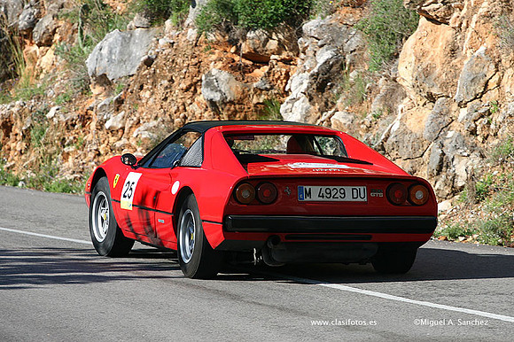 XRallyeEnero215