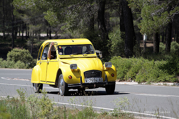 VIIConcentracionUtiel236