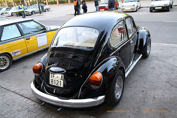ConcentracionOrriols2013_073