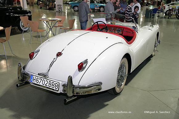 AnticAuto2010163