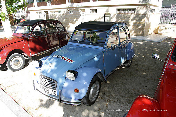 VIIConcentracionUtiel093