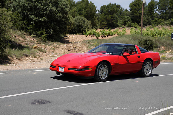 VIIConcentracionUtiel596