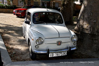 VIIConcentracionUtiel017