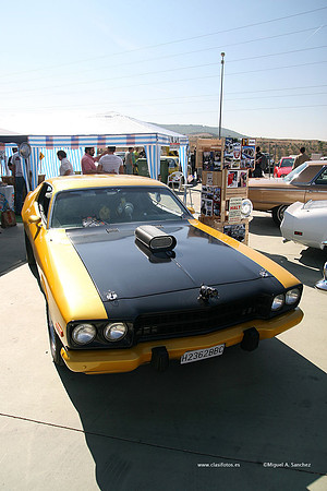 FVCP2009182