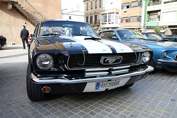 XConcentracionTorrente204