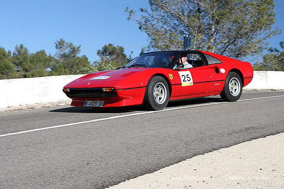 XRallyeEnero433