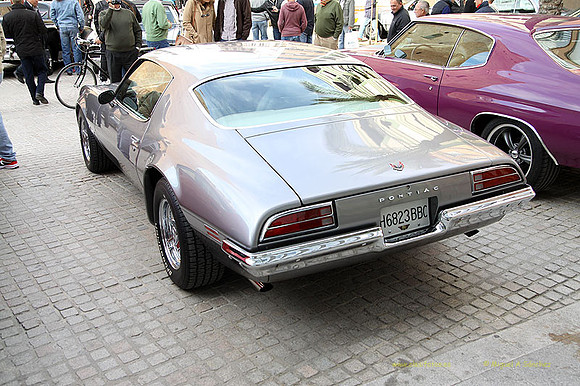 XConcentracionTorrente172