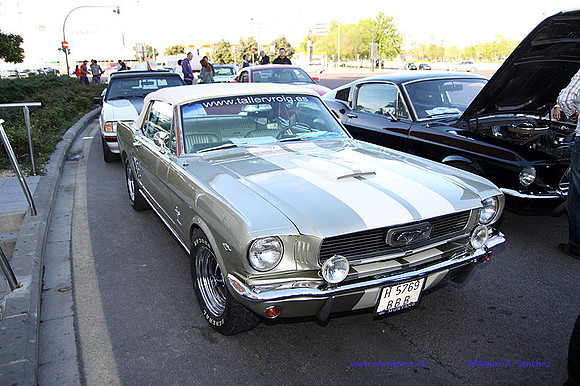 CabalgadaMustang360