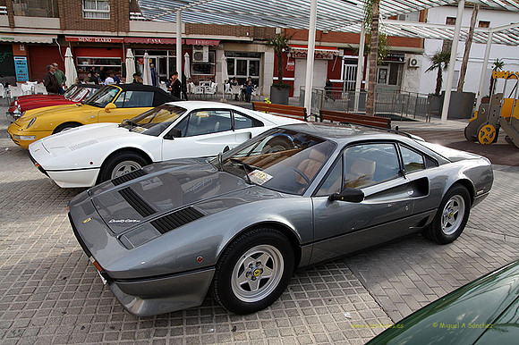 XConcentracionTorrente158