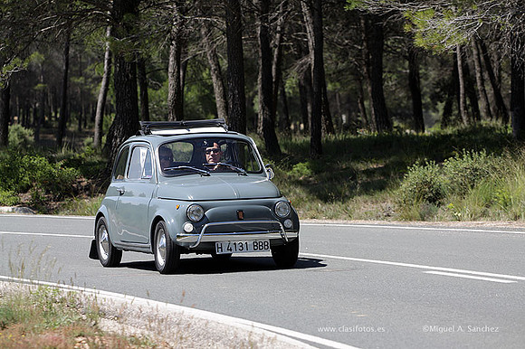 VIIConcentracionUtiel230