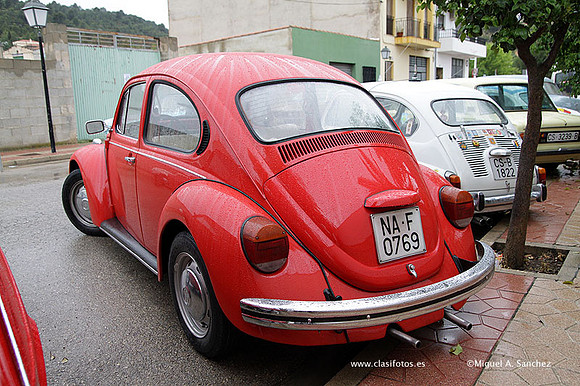 IIIConcentracionYatova_095