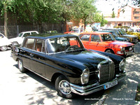 DSCF8893
