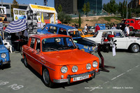 FVCP2009010