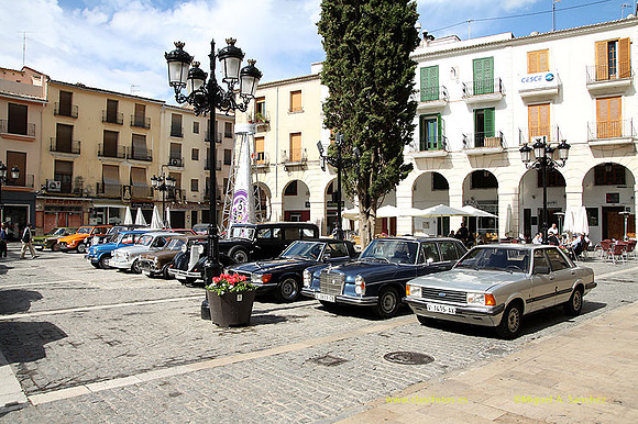 VIIConcGandia033