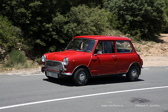 VIIConcentracionUtiel557