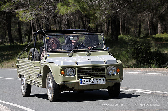 VIIConcentracionUtiel259