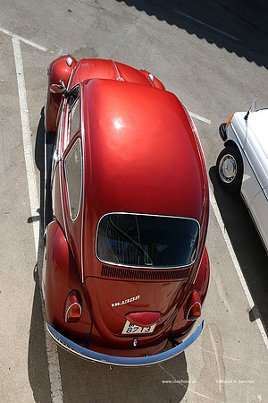 CasesdeAlcanar09129