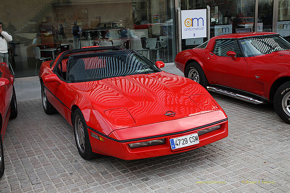 XConcentracionTorrente028