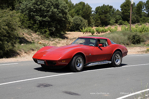 VIIConcentracionUtiel514