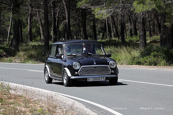 VIIConcentracionUtiel244
